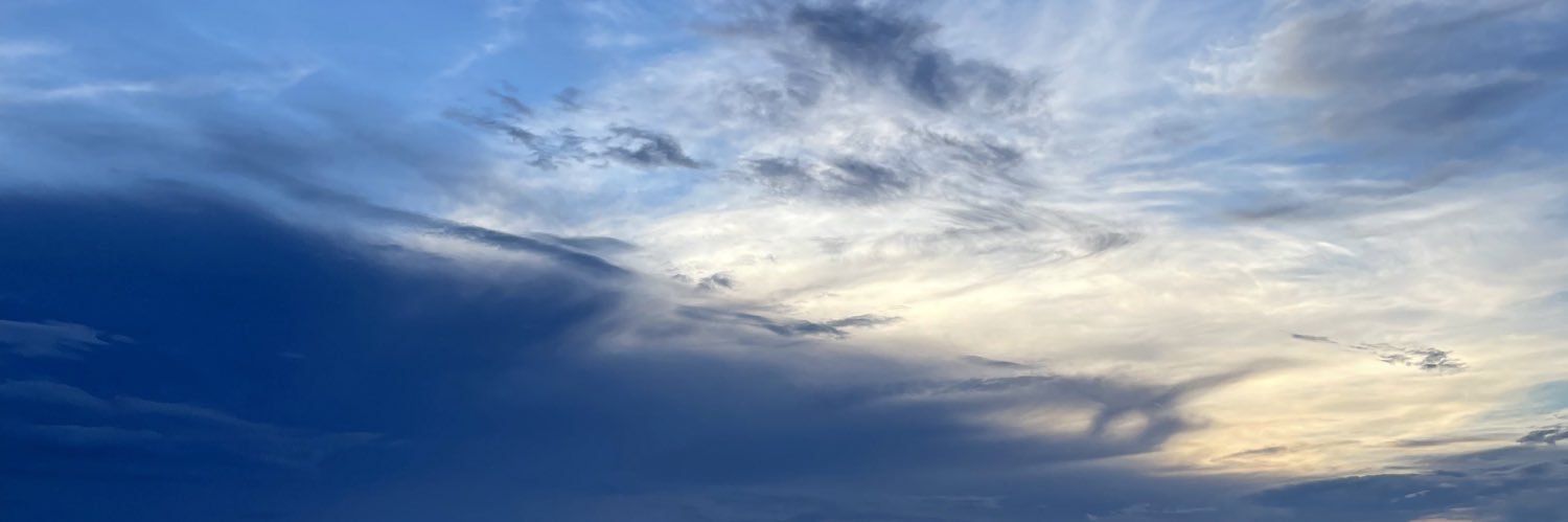 Amanda (Sina) Griffith banner