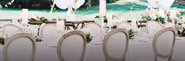 Courtney Wolf banner