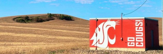 morgannarby's profile banner image