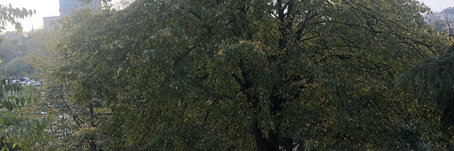 ArevYedek's profile banner image