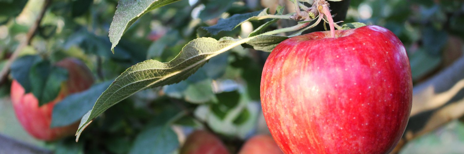 AtmnGloryApple's profile banner image