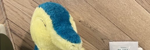 ポケモン大好き2児の母🤭 banner