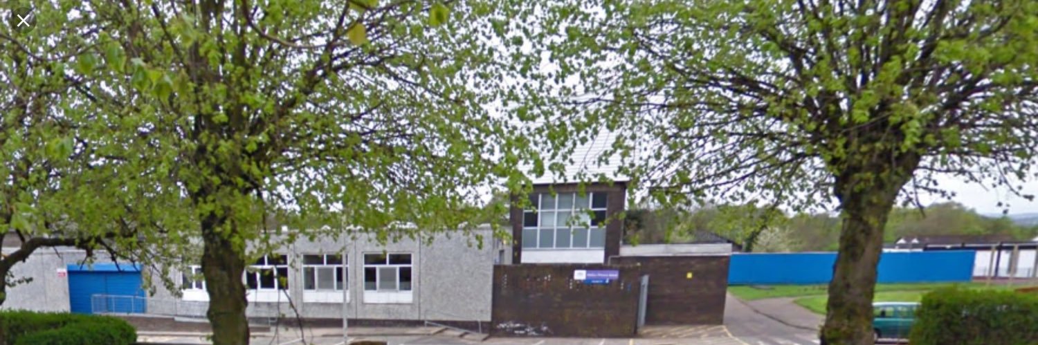 Wallace Primary School and Nursery Parent Council banner