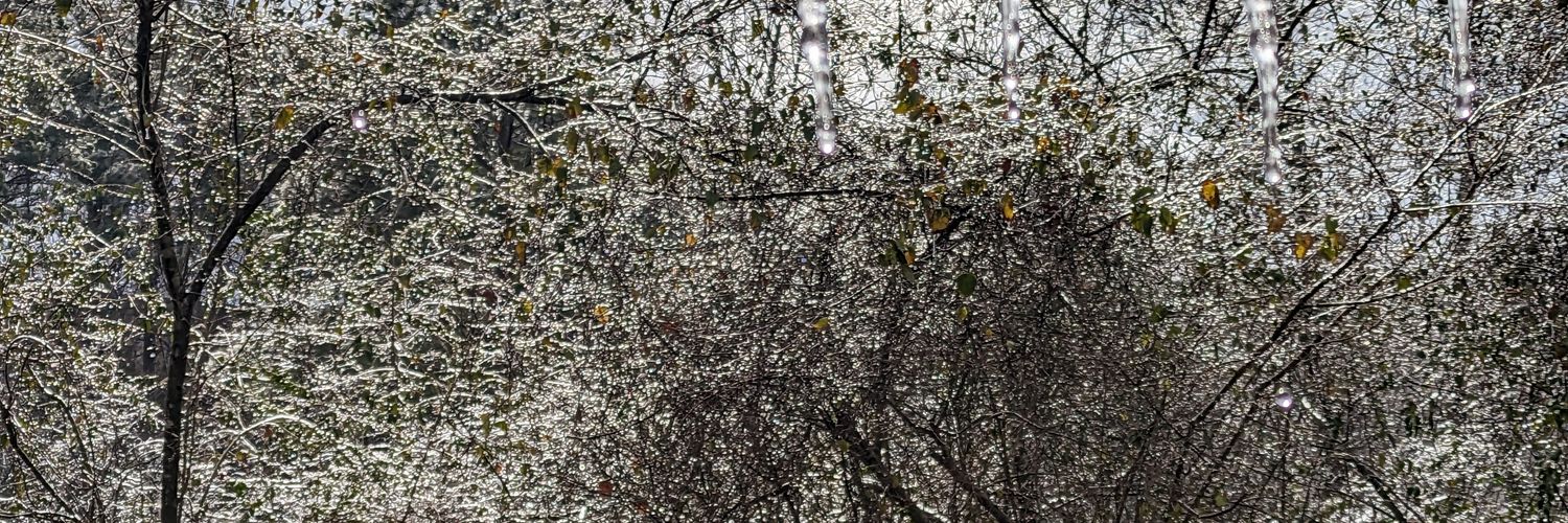Funkteroptorix's profile banner image