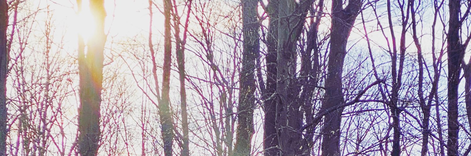 gretch8183's profile banner image