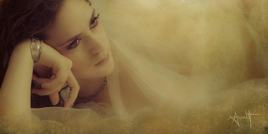ElaGefen's profile banner image