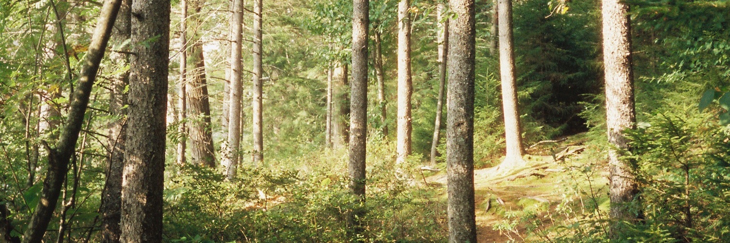 Justin Dusett banner