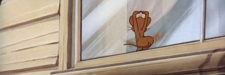 catelottd's profile banner image