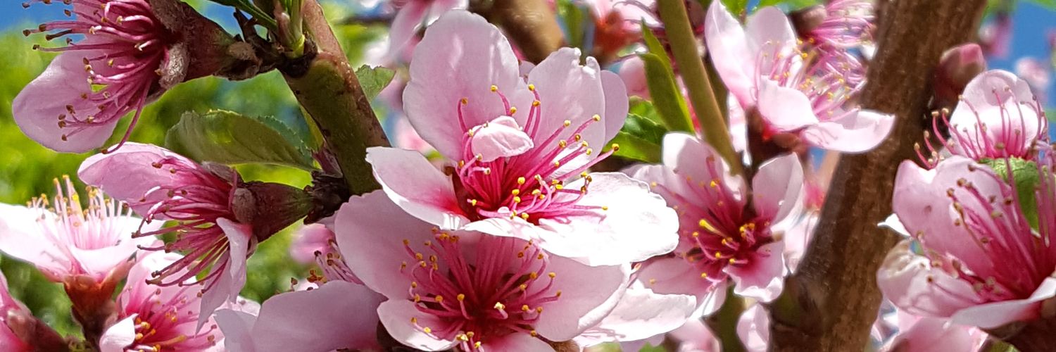 jaymar1012's profile banner image