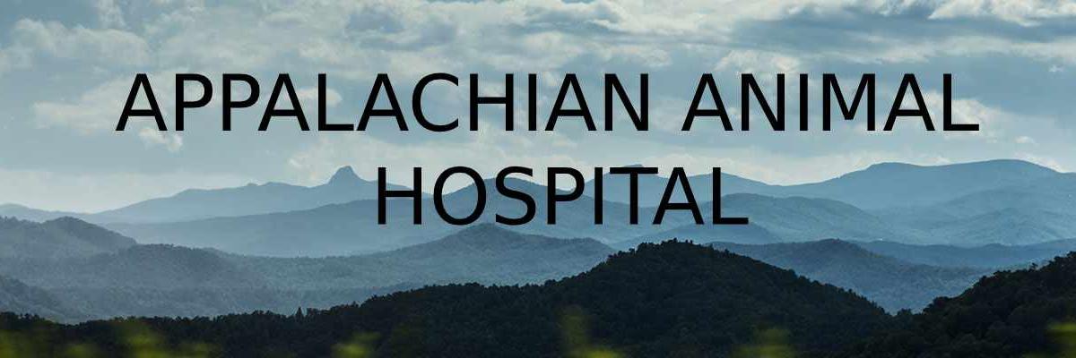 AppalachVet's profile banner image