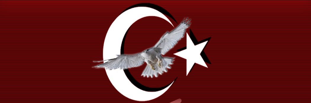 cepnii_'s profile banner image