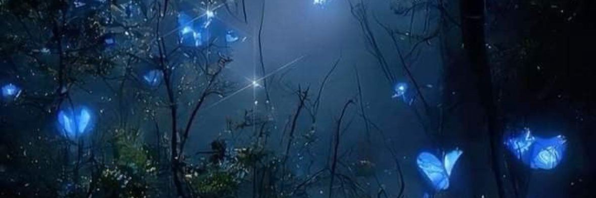 hevellyne_'s profile banner image