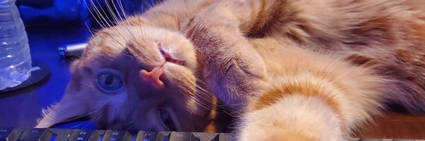 CBItemBox Profile Banner