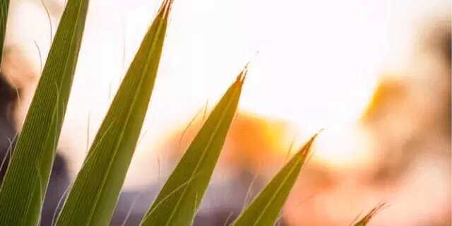 Angelo_H_144's profile banner image