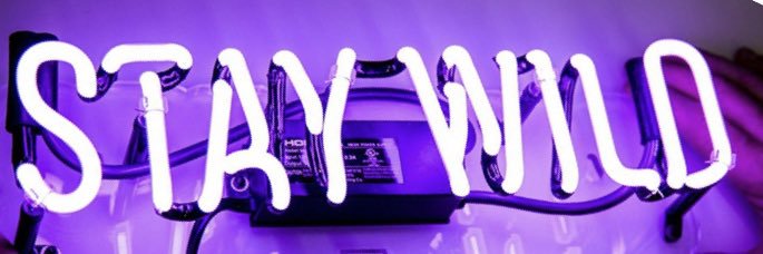 jesssrupp's profile banner image