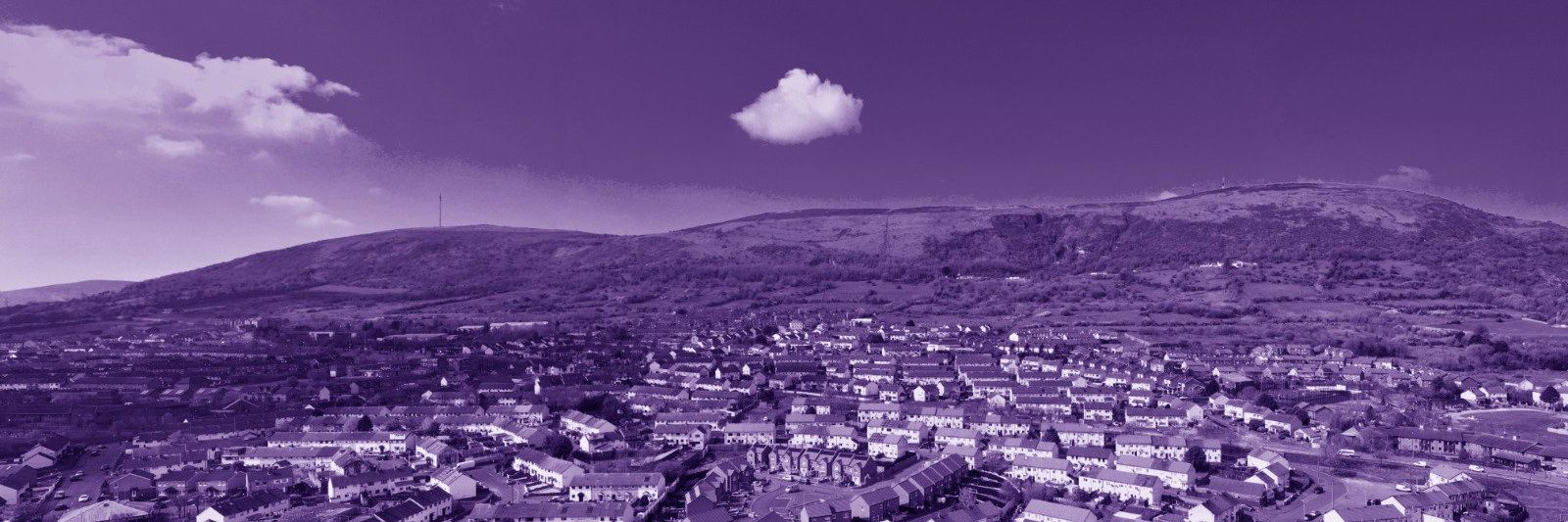 Féile na gCloigíní Gorma banner