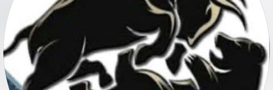 Vic_trades banner