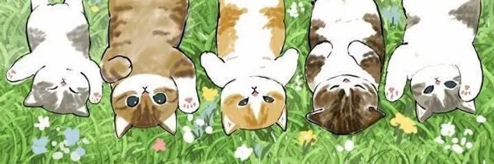 xluflores's profile banner image