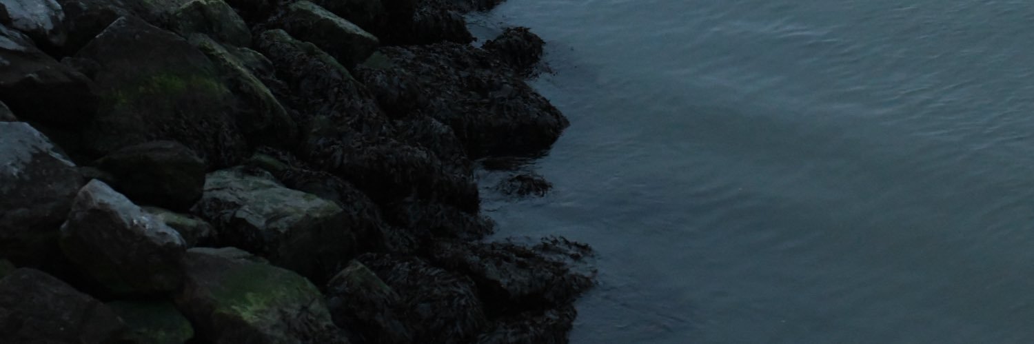procrastinate08's profile banner image