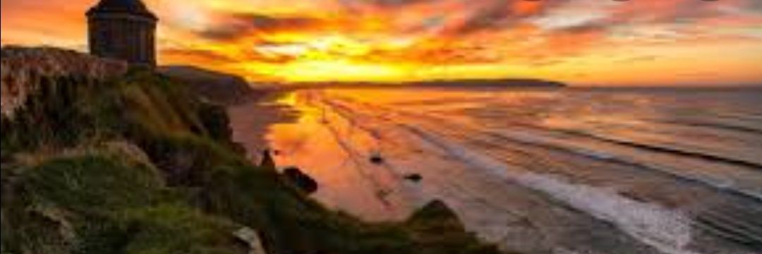 Grace Fleming banner