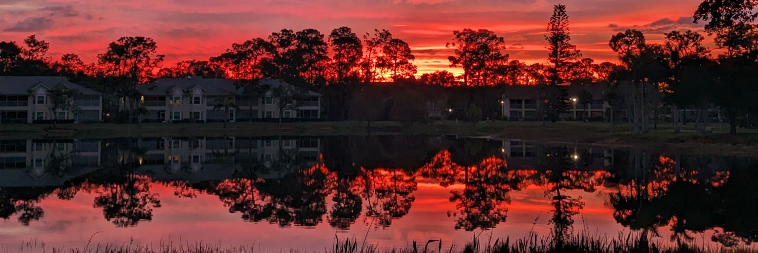 nimslake's profile banner image