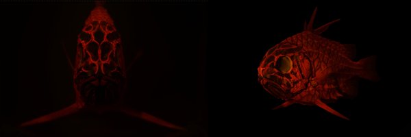 Anoplogaster_ Profile Banner