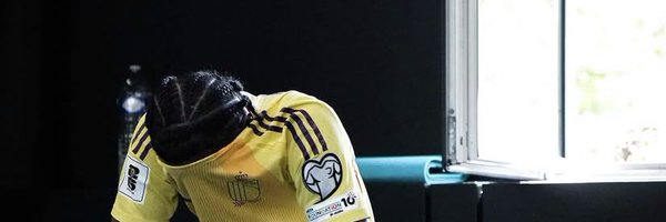 Wanrinho Profile Banner