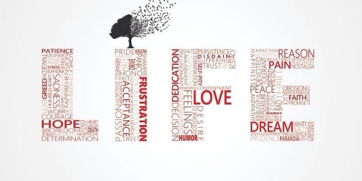 danbv's profile banner image