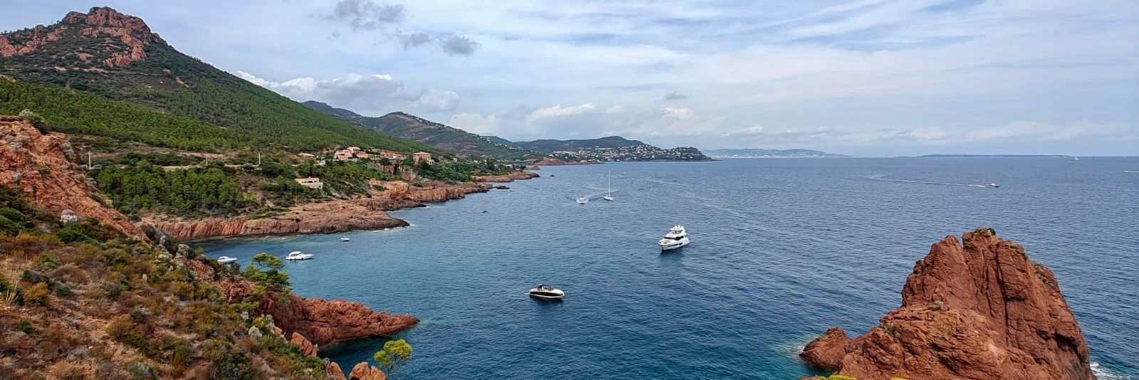 Stephan van Loon banner