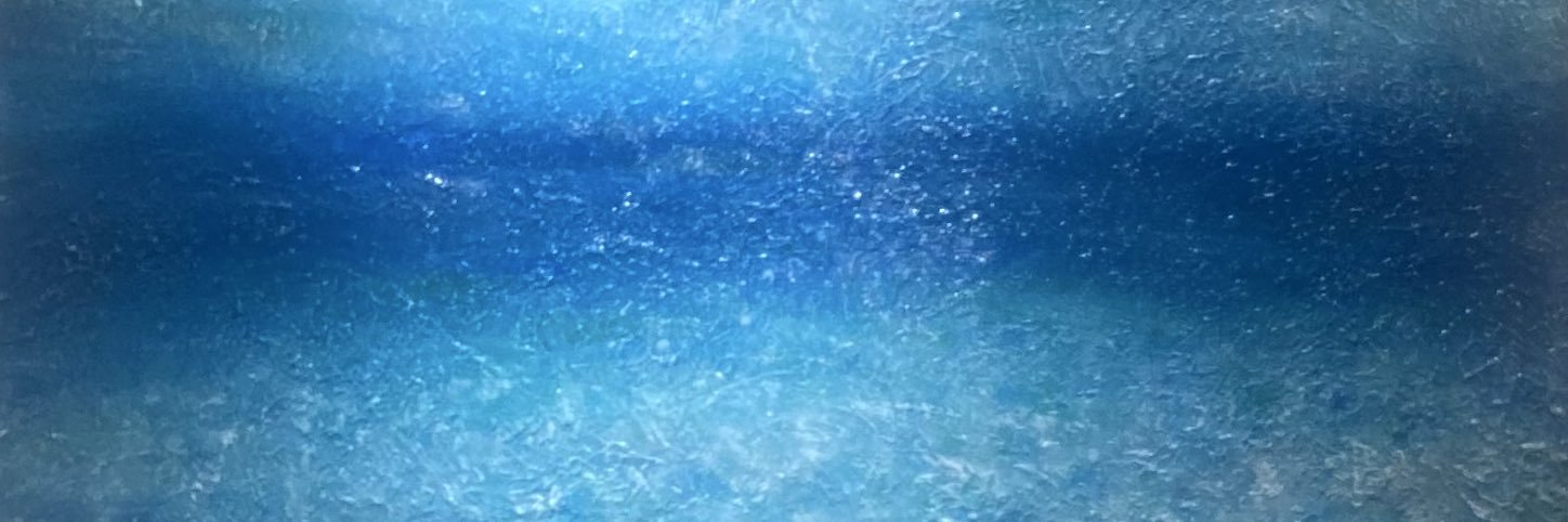 sasha0127's profile banner image