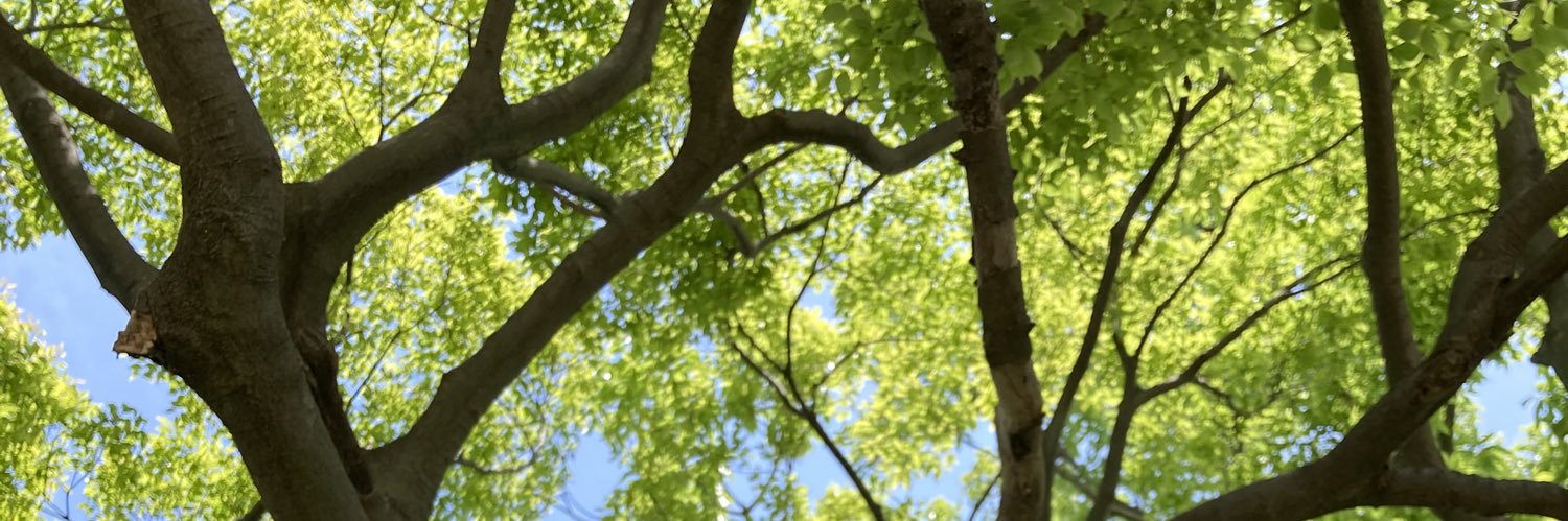 Taku Sato（佐藤拓） banner