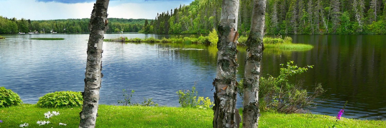 ErikaWinterhart's profile banner image