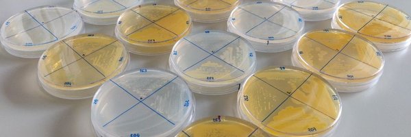 Lau_cms Profile Banner