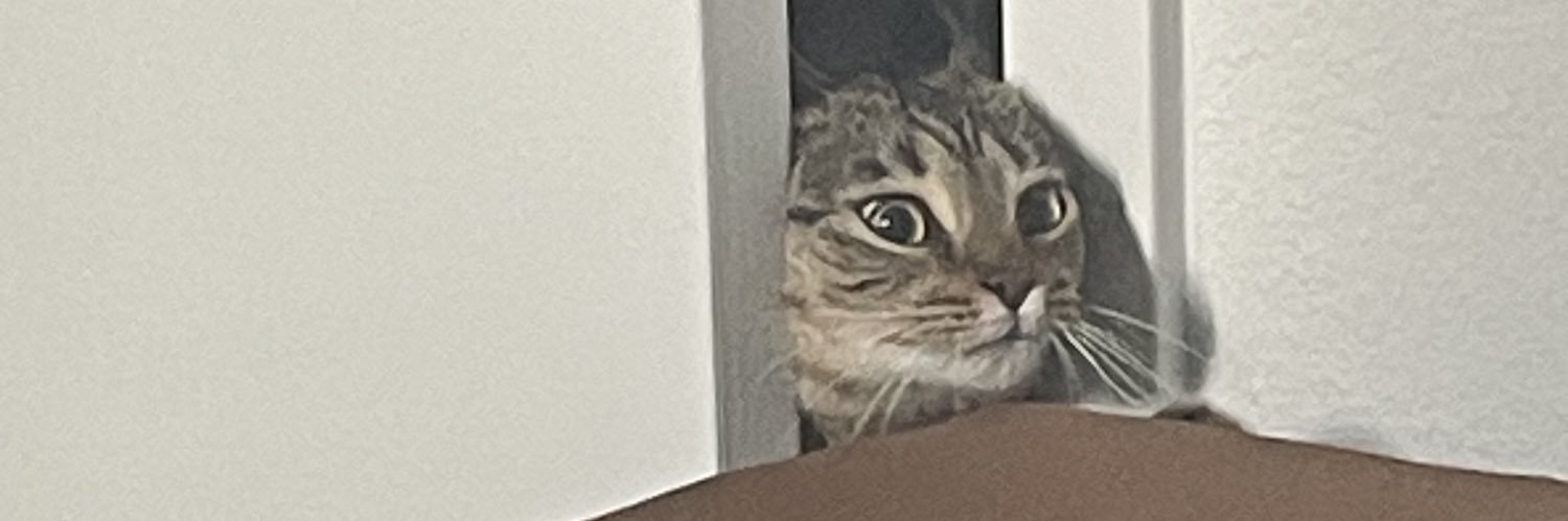 carkkle's profile banner image