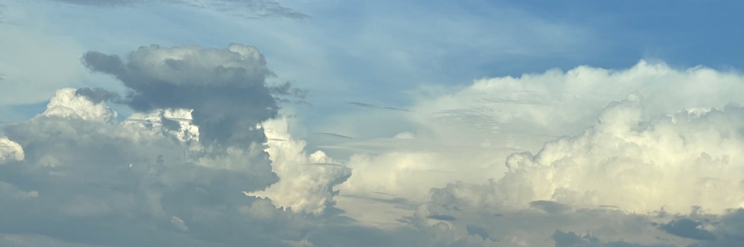 FridaVazp's profile banner image