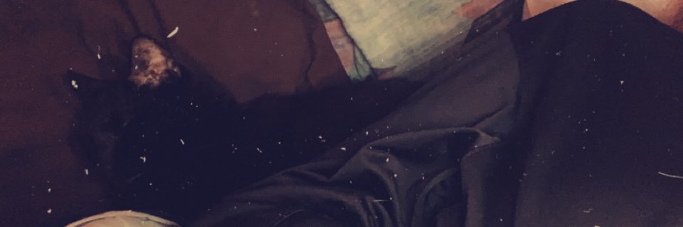 FelicaCarman's profile banner image