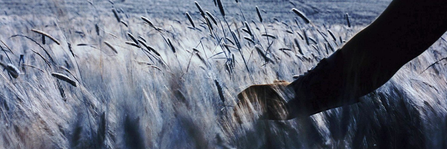 mattiakabtc's profile banner image