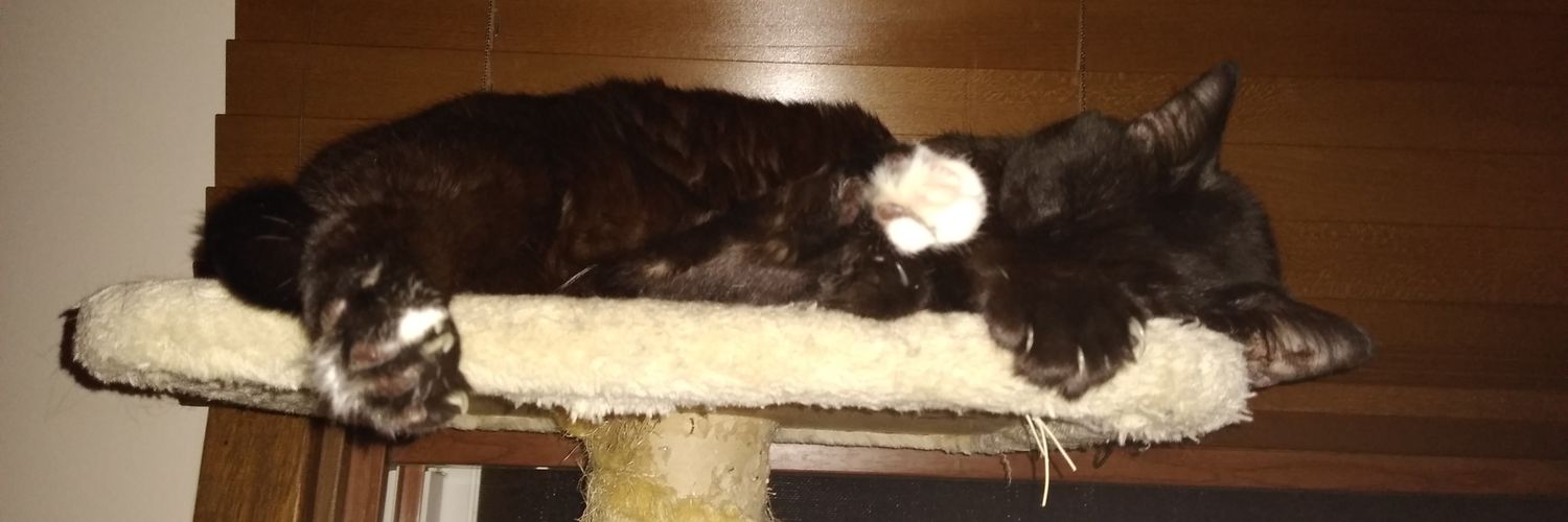 Michael Peacock banner