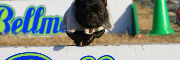 ShonanCross1 Profile Banner