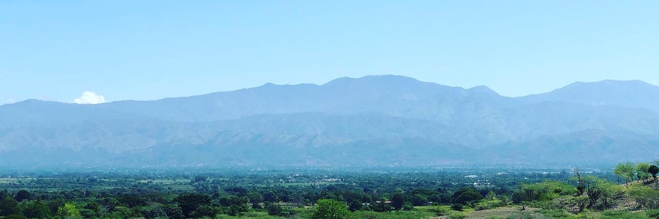 Dimitris A. Herrera banner