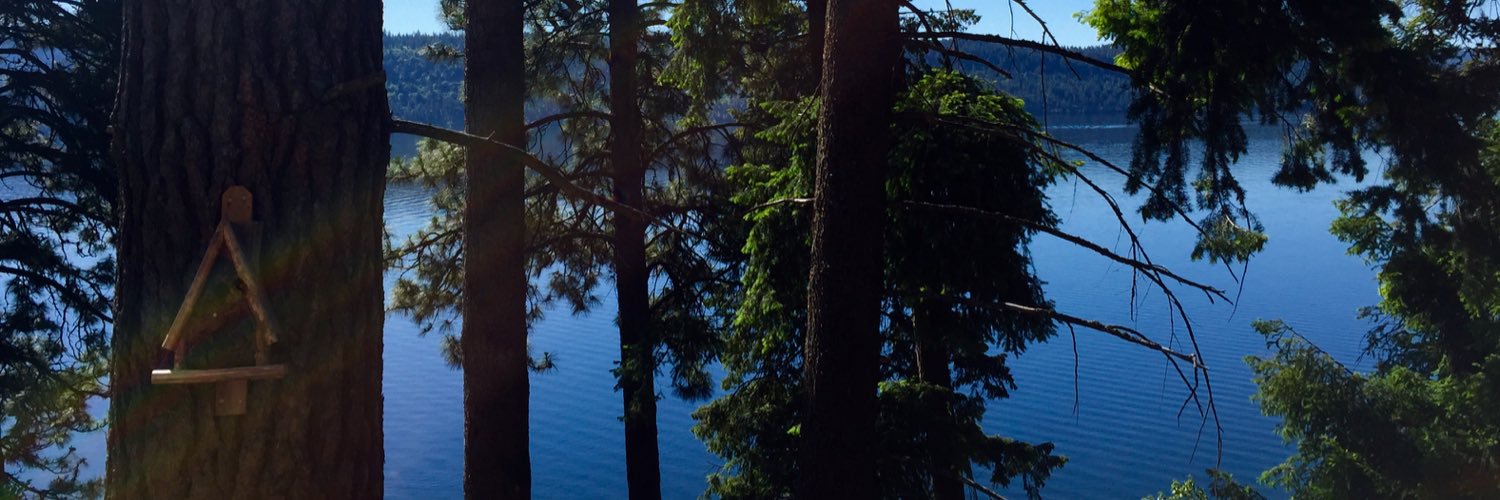 2nellynelson's profile banner image