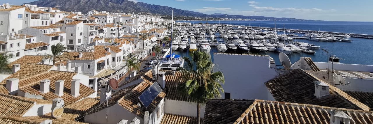 Michelle Melo banner