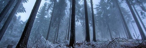 blackpearlfr Profile Banner
