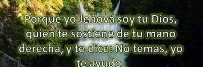 Luly_kia's profile banner image