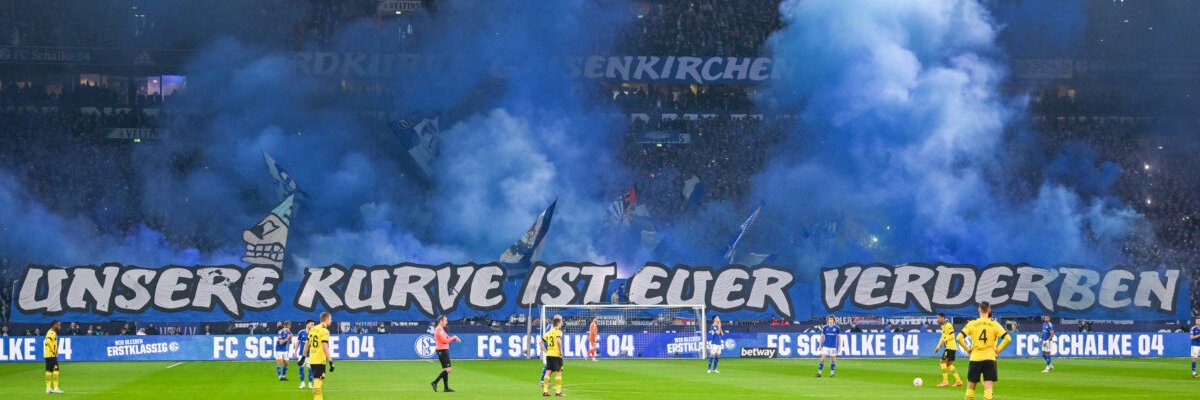 Kampfschwein Willi banner