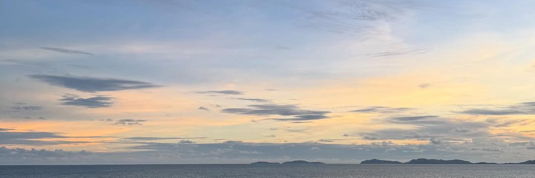 pyn ♡̷🐰 banner