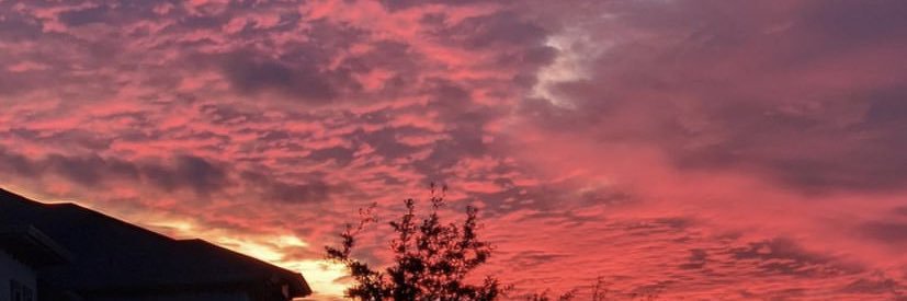 Chelsunn's profile banner image