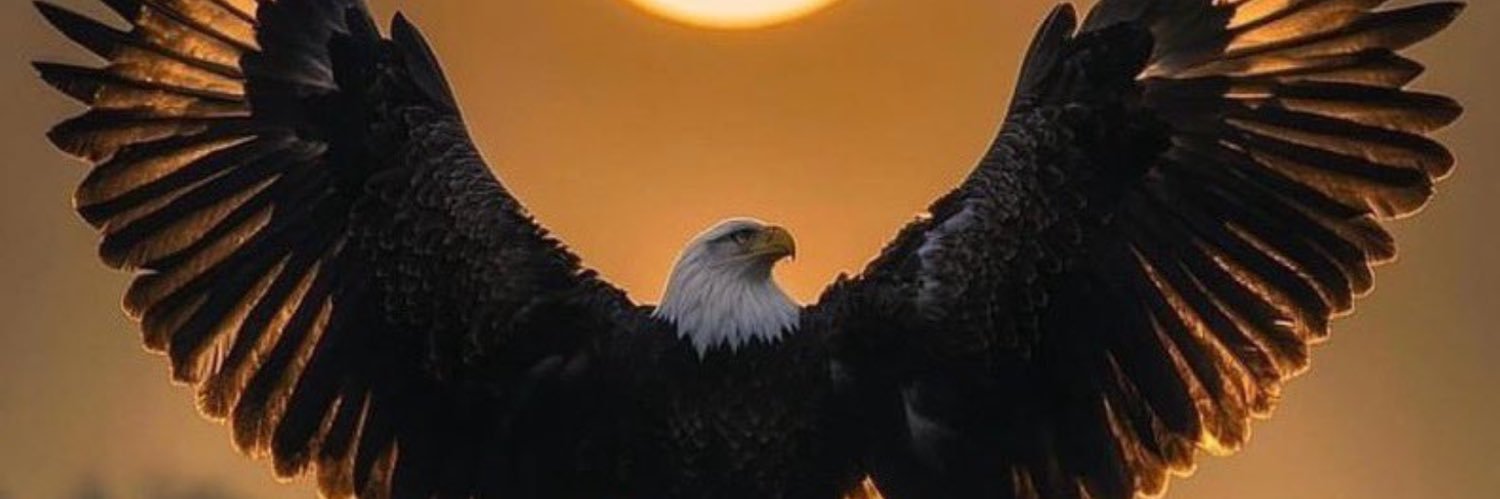 KulaEnergy's profile banner image