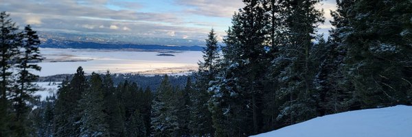 chowosen Profile Banner