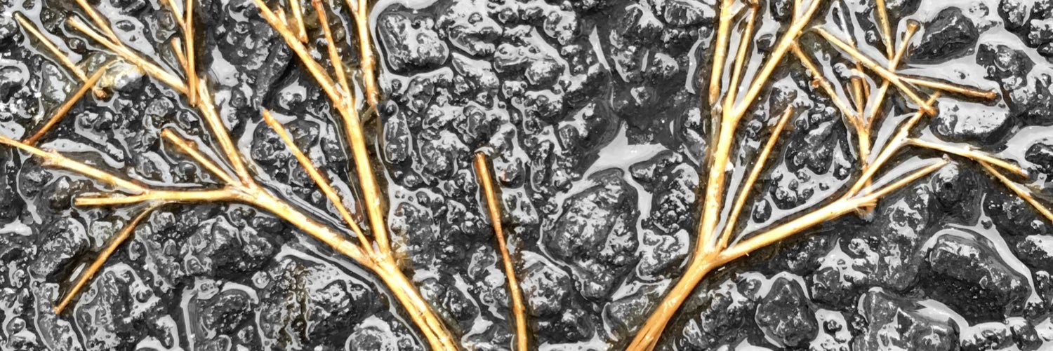 645rokmc's profile banner image
